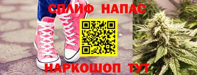 амф Обь