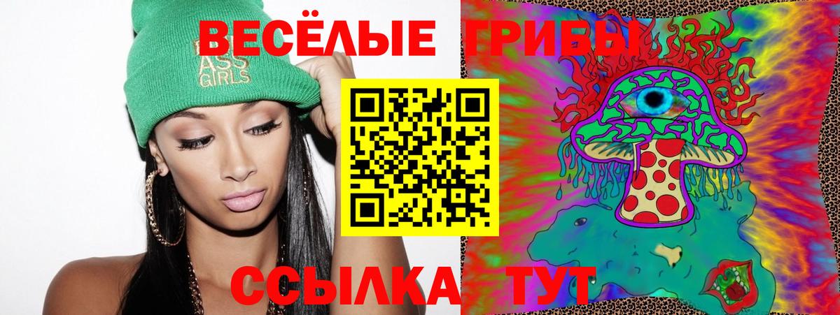 Псилоцибиновые грибы мицелий  Вход с VPN  Псилоцибиновые грибы GOLDEN TEACHER  Сухой Лог 